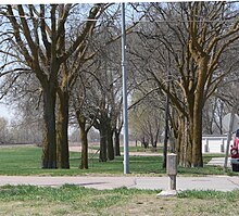 Concrete marker with inscribed arrow pointing toward avenue of hackberry trees