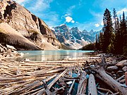 Moraine Lake in Banff National Park with floating timber