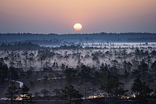 Morning fog in the Ķemeri National park. Latvia Photo by