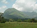 Replat sur les coteaux du mont Nimba, avec des termitières ou fourmilières (monticules ocres).