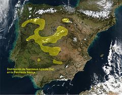 Distribución en la península ibérica