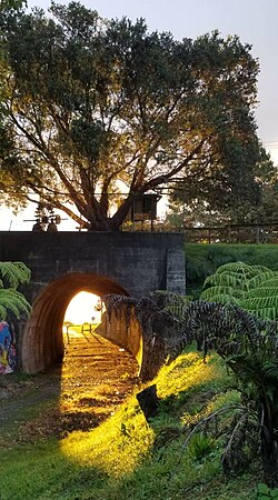 Okaihau Rail Tunnel, built 1926