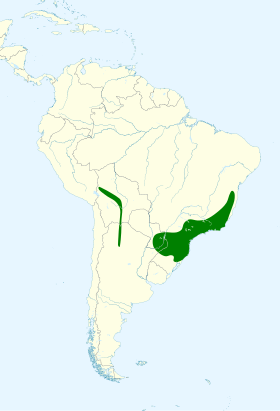 Distribución geográfica del mosquerito de Burmeister.