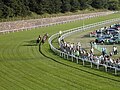 Six jockeys and their horses taking a curve.