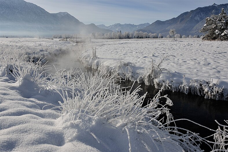 1. Platz – Landschaft: Ramsach im Winter im oberbayerischen FFH-Gebiet Murnauer Moos Foto: Miosta