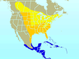 Distribución en Norte y Centroamérica. Amarillo: Época de anidación Naranja: Todo el año Azul: Invierno