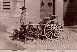 Milkman in Lucerne, Switzerland, before 1914