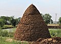 Storage of cow-dung cakes in Punjab