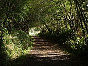 The Tarka Trail, combining footpath and cycleway (NCN route 3), follows the former track of the North Devon and Cornwall Junction Light Railway across Bury Moors.