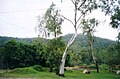 Enoggera Hill, vue depuis The Gap