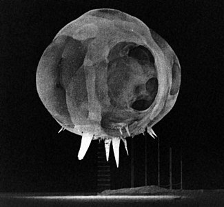 Operation Tumbler-Snapper, by Lawrence Livermore National Laboratory