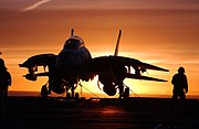 日没とF-14D