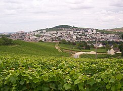 Vue générale de la ville en été depuis le chemin de ceinture.