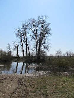 Река в районе одноимённого села