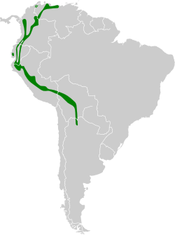 Distribución geográfica del colibrí jaspeado