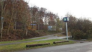 Asphalt paths leading up to a side platform