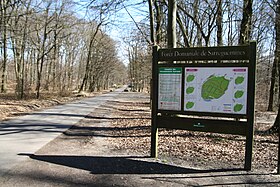 Image illustrative de l’article Forêt du Buchholz