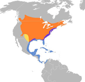 Description de l'image Dumetella carolinensis map.svg.