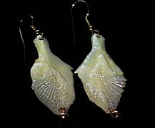 Earrings made from the ganoid scales of an alligator gar