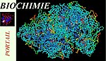 Portail Biochimie