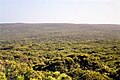 View from Bunker Hill lookout