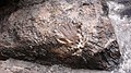 Guru Rinpoche hand print embedded in the rock at Pharping, Kathmandu