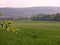 Farmland and forests form Hochspeyer's environment