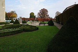 Vue de buis taillés en cônes et d'une fontaine.