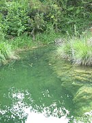 La rivière de Meaulx en juin.