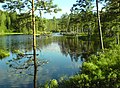 Lac de Langvannet à Lierfoss