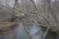 Manalapan Brook flowing near Gasko's Family Farm in Monroe Township