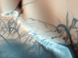 Martian dust devil trails