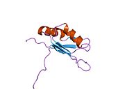 1d8z: SOLUTION STRUCTURE OF THE FIRST RNA-BINDING DOMAIN (RBD1) OF HU ANTIGEN C (HUC)