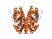 2b1z: Human estrogen receptor alpha ligand-binding domain in complex with 17methyl-17alpha-dihydroequilenin and a glucoc interacting protein 1 NR box II peptide