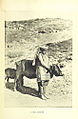 Punjab Hills 1895, Kulu woman in churidar suthan, Himachal Pradesh
