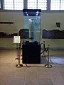 Long vase exposé dans une vitrine. La vitrine est entourée d'une barrière de cordons bleus