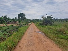 Road in Sekanyonyi Mityana District.jpg