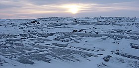 Whale Cove