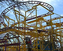 Wild Mouse