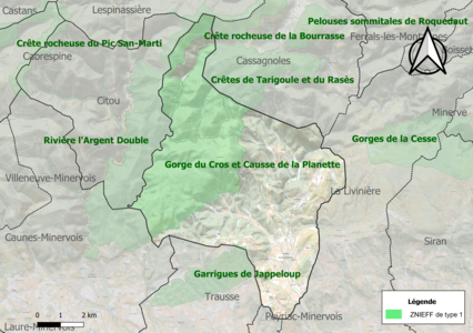 Carte des ZNIEFF de type 1 sur la commune.