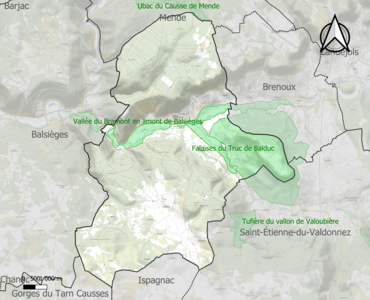 Carte des ZNIEFF de type 1 sur la commune.