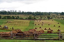 Typical countryside near Douglas