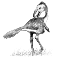 Andalgalornis