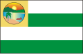 Bandeira de Sampaio do Tocantins