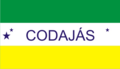 Bandeira de Codajás