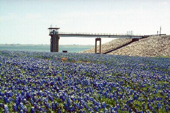 Meadow View Nature Area with blue bonnets in the foreground