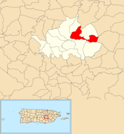 Location of Bayamón within the municipality of Cidra shown in red