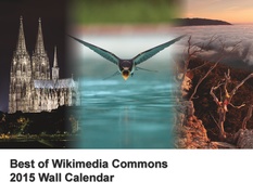 2015 wall calendar