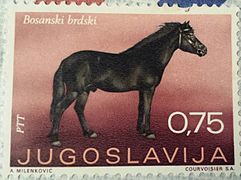 Yugoslavia stamp Bosnian pony