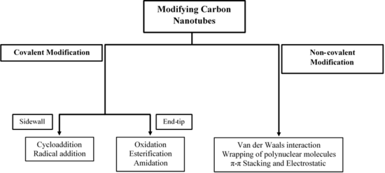 Représentation structurée par des cadres et des flèches des modifications possibles des nanotubes.